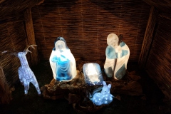 IMG_20201220_171156