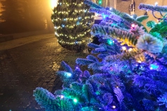 IMG_20201220_171218