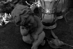 IMG_20211101_170223