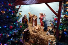 IMG_20220102_075732