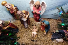 IMG_20220102_075756