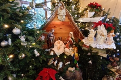 IMG_20220102_084708