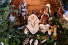IMG_20220102_084723